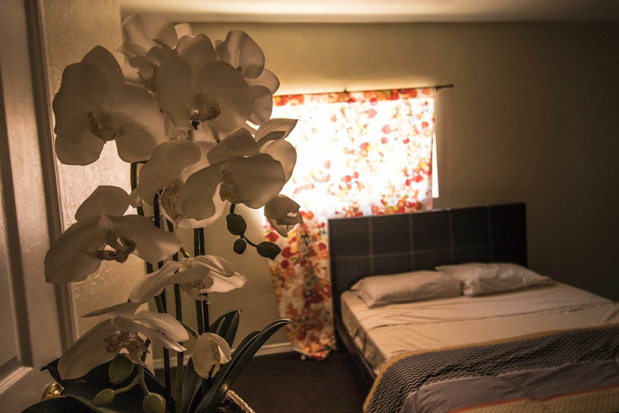 The Anderson Estates Hostel Los Angeles Luaran gambar